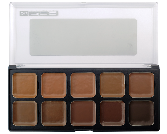 EBA Performance Makeup ENCORE Alcohol Palette Tattoo Cover Skin tone