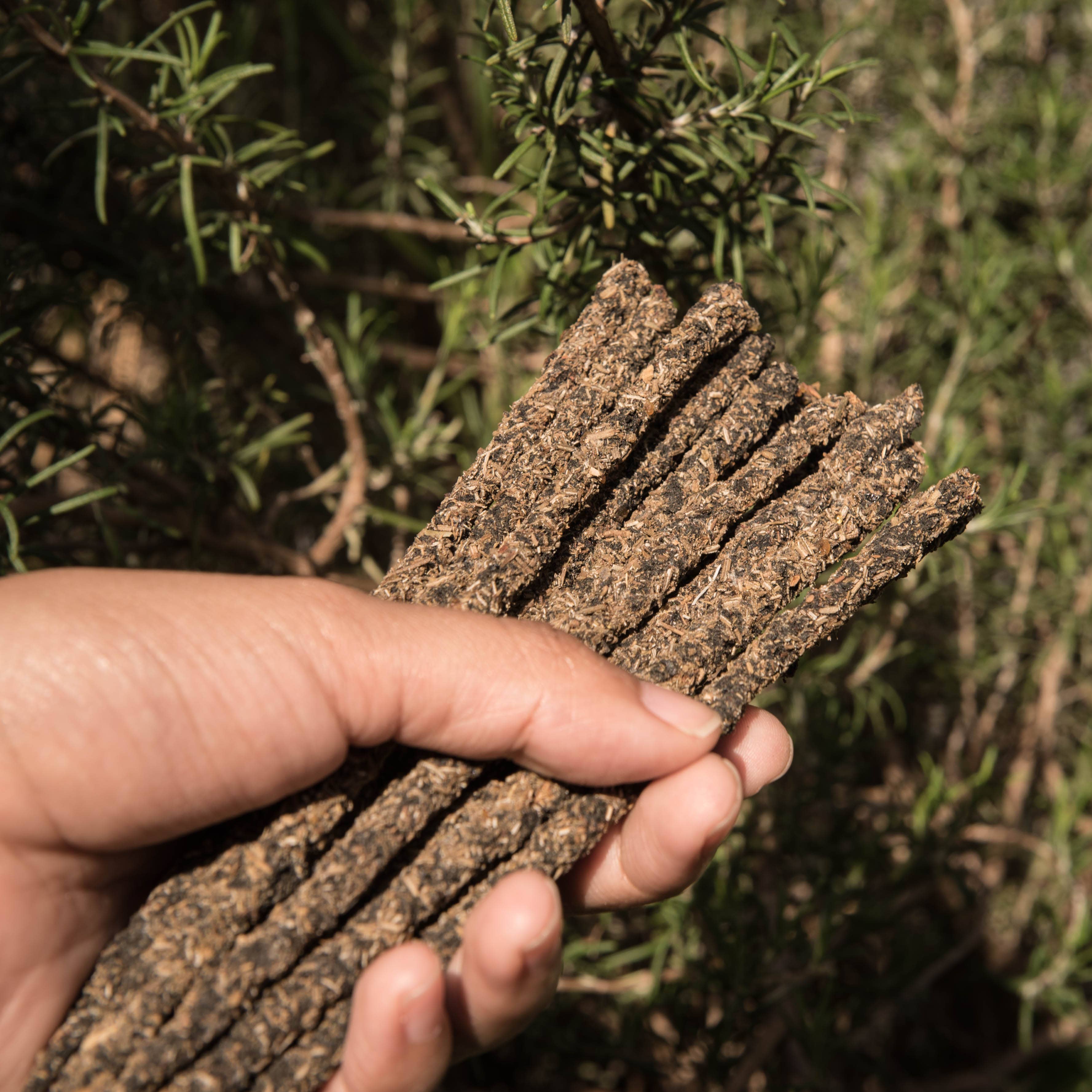 Natural Resin Incense Sticks: Frankincense