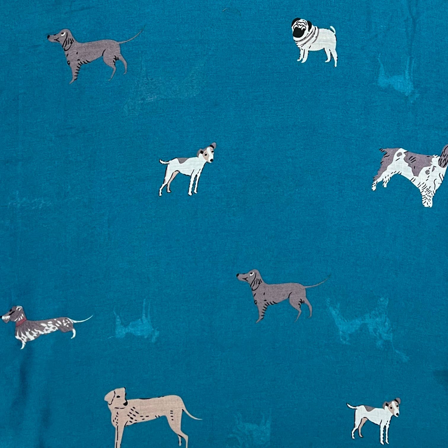 Dog printed scarf: Teal - Lalka Beauty Co.