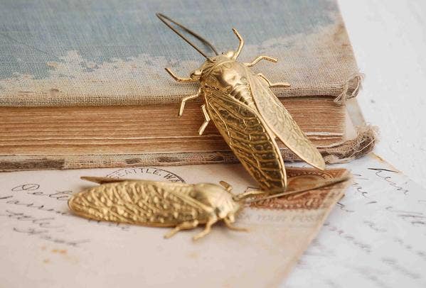 Gold Cicada Earrings Long Ear Wires Whimsical Bug Beetles - Lalka Beauty Co.