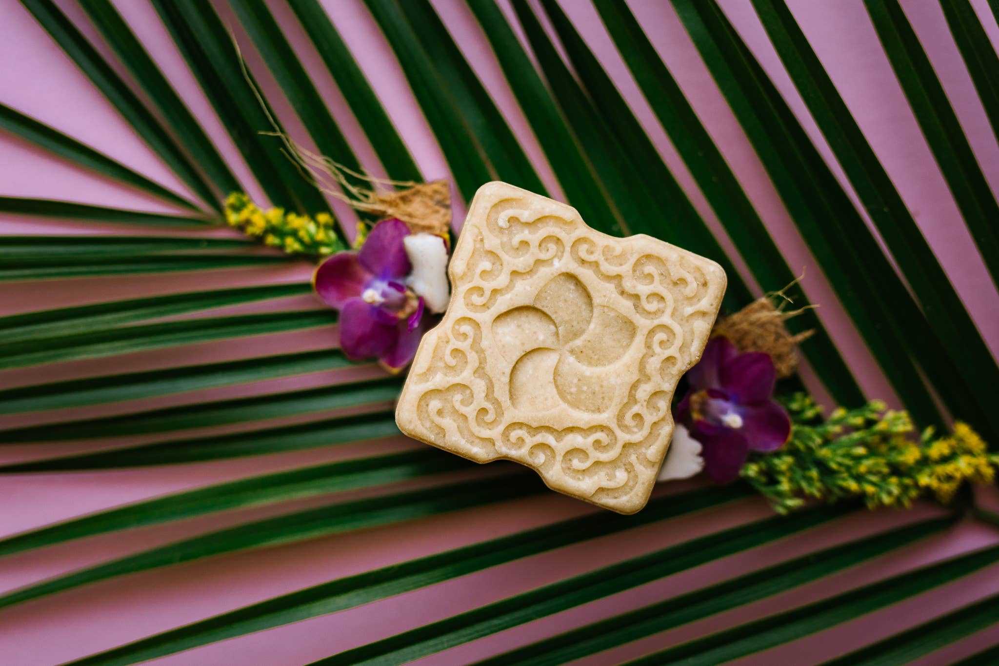 Sugar Scrub Bar | Coconut Bliss | Limited Edition - Lalka Beauty Co.